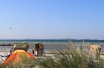 Strand in Stein